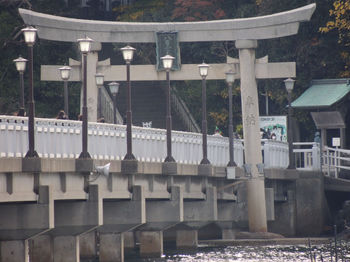 Takeshima111.JPG