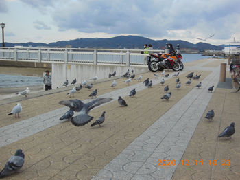 Takeshima125.JPG