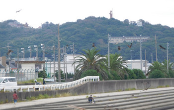 Takeshima17.jpg