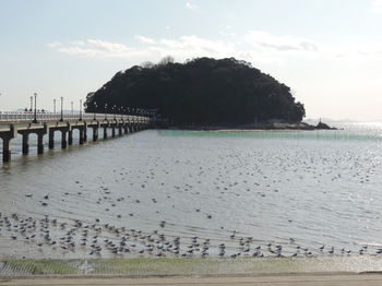 Takeshima184.JPG