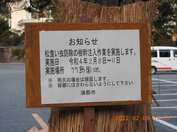 Takeshima457.JPG