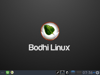 VirtualBox_BodhiLinux420_31_05_2017_21_36_50.jpg