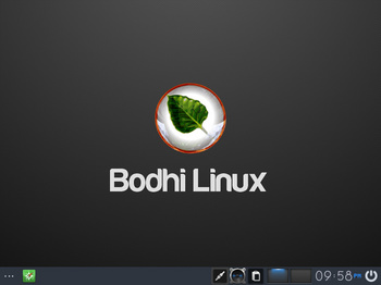 VirtualBox_BodhiLinux420_31_05_2017_21_58_46.jpg