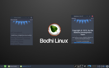 VirtualBox_BodhiLinux420_31_05_2017_22_24_18.jpg