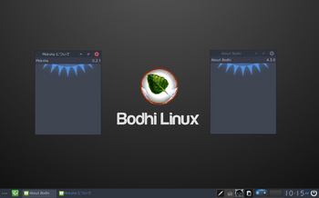 VirtualBox_BodhiLinux430_30_08_2017_10_15_25.jpg