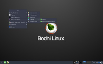 VirtualBox_BodhiLinux430_30_08_2017_10_41_02.jpg