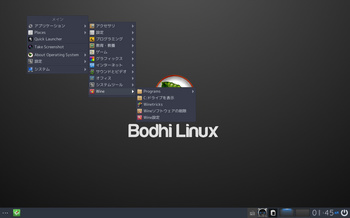 VirtualBox_BodhiLinux430_31_08_2017_01_45_35.jpg