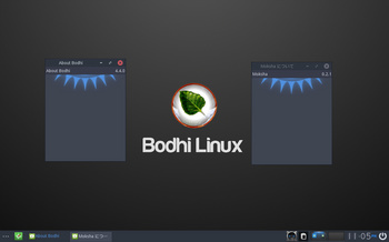 VirtualBox_BodhiLinux440_08_12_2017_23_05_25.jpg
