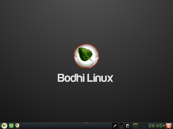 VirtualBox_BodhiLinux4_29_10_2016_18_45_43.jpg