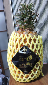 pineapple100.jpg